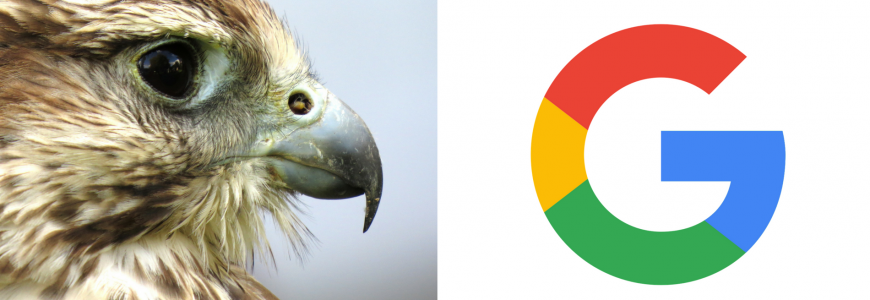 Google Hawk Update