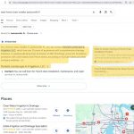 Daniels Landscape & Irrigation dominating the top of the page in Google's AI Overview section