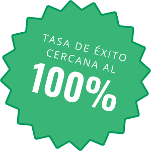 Un gráfico que dice: Casi un 100% de tasa de éxito.